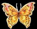 papillons (21)